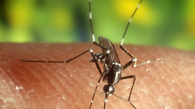 Ελπίδες από το τελικό στάδιο δοκιμής του πρώτου εμβολίου κατά της ελονοσίας